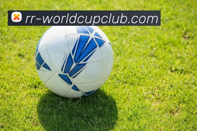 足球线上投注平台生态图